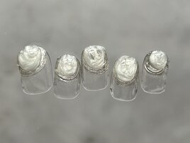 ホワイトオーロラ