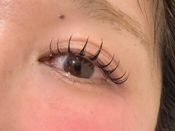 エデン(EDEN)/フラットラッシュ120本