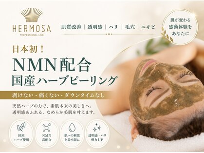 アリュメント(Allument)の写真