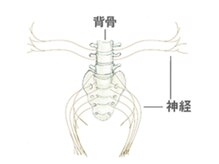 増田健康院/～セルフケアもアドバイス～