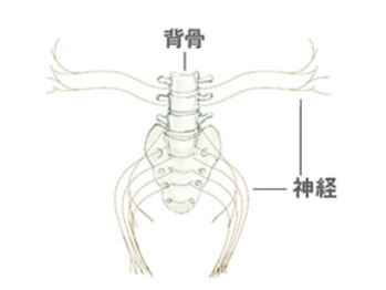 増田健康院/~セルフケアもアドバイス~