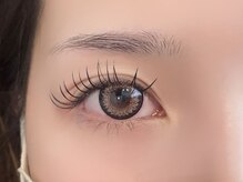 シエル(Ciel)/フラットラッシュ150本