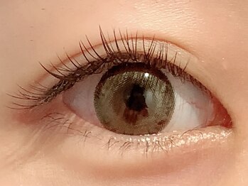 カラン 焼津店(CALIN)/フラットラッシュ120本