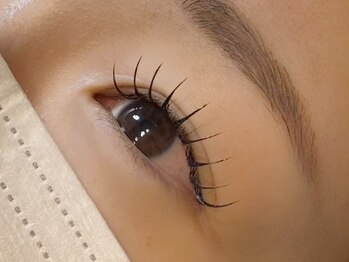 リリー(Liliy)/フラットラッシュ120本 naomi