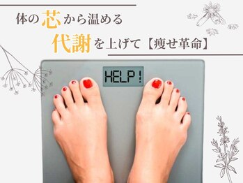 ヨサパーク 温美(YOSA PARK)の写真/「身体の芯から温めて、よもぎ蒸しで温活習慣を」冷え、痩身、美肌も叶うのでデトックスしながら健康美を