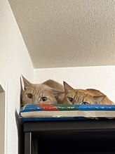 オフィスピースリー/施術中は隠れています