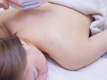 ジョリー ベル(Jolie Belle)