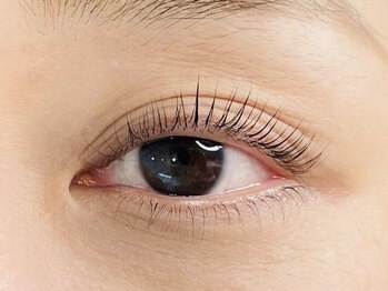 アイラ 千葉店(EYELA)/ラッシュリフト