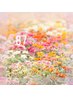 オーダーメイドラッシュリフト（下） ¥3000