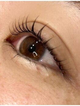 エヌプラスアイラッシュサロン(n plus eyelash salon)/まつ毛パーマ