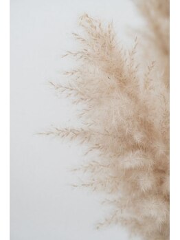 プレイン 溝の口店(plain)/エクステ100本