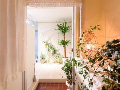 スロー(Slow)の写真