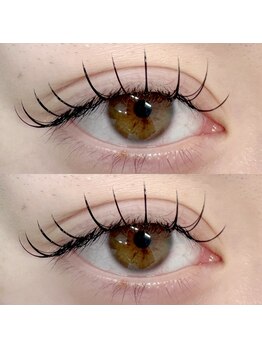 アトリエ ボノ(BONO)/ダブルフラット