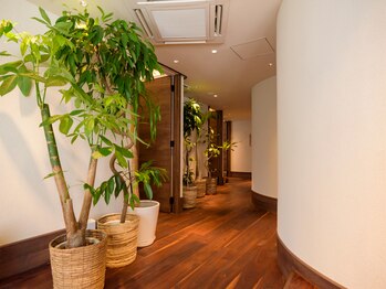 ザ グリーンズ(THE GREENs)/【広々した店内】