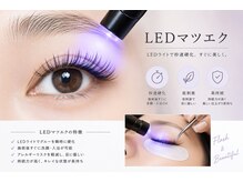 レイ(Rei)