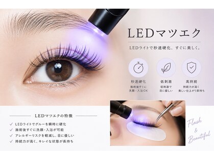 レイ(Rei)の写真
