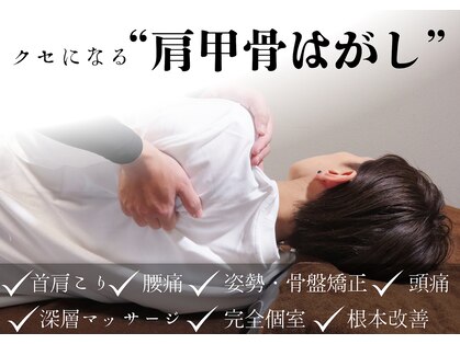 フィット(Fit)の写真