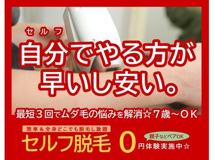 ドレミの写真