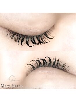 メアリーハリス 姪浜(Mary Harris)/ フラットラッシュ 100本