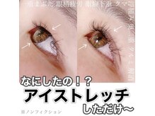 ザ ベッピン(the 別嬪)/アイストレッチ単品も可能！