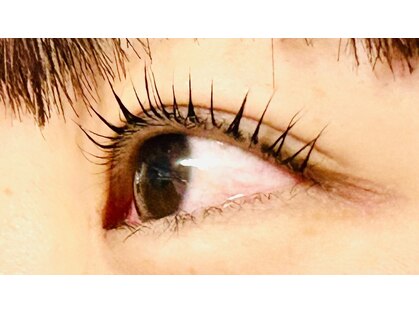 エメ(Aimer)の写真