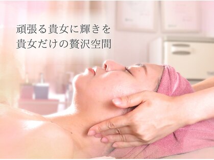 パピヨン(Papillon)の写真