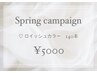 【Spring_campaign♪】最高級フラットラッシュロイッシュカラー【140本】