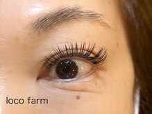 ロコ ファーム(loco farm)/Wフラットラッシュ140束