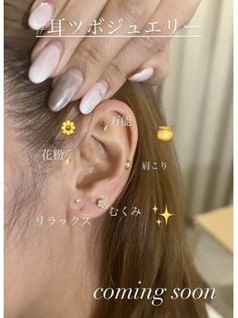 リルシープ(LIL'SHEEP)/耳つぼジュエリー