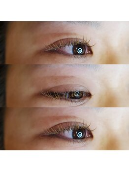 パーソナルアイラッシュ(PERSONAL EYELASH)/LED×カラーエクステ