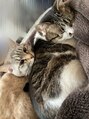 パリス デ スキン 岐阜マーサニジュウイチ店(Paris de skin) 愛するお猫様です★.+