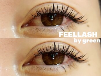 フィールラッシュ バイ グリーン(FEELLASH by green)/ダブルフラット120束