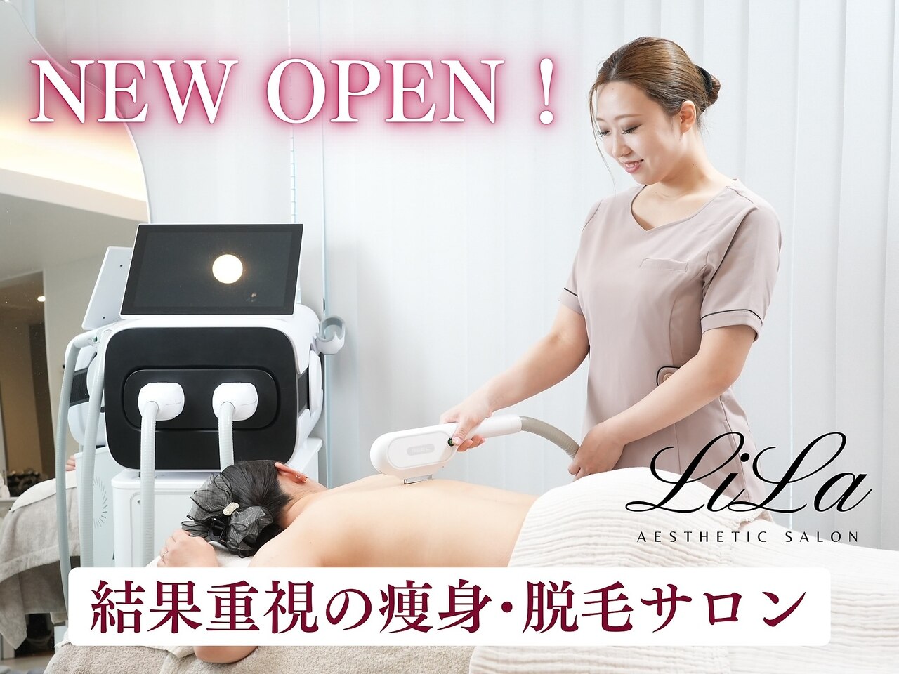 ローゼル花美容痩身 ローゼル 苗 四季成りハイビスカスティーの原料 3号ポット苗 : 苗木部