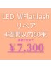 【LEDリペア50束】Wフラットラッシュ4週間以内→￥7,300 連続2回まで