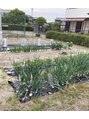 癒やしのごえん 自家栽培の畑