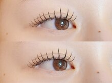 シフォン(Chiffon)/フラットラッシュ120本