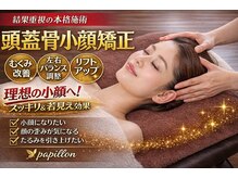 パピヨン(papillon)