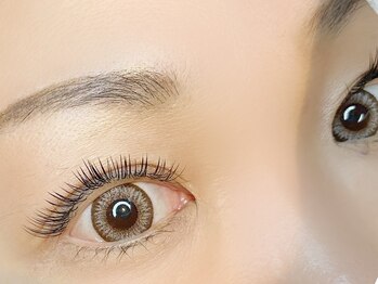 エリス 京橋(Eliss)/フラットラッシュ160本