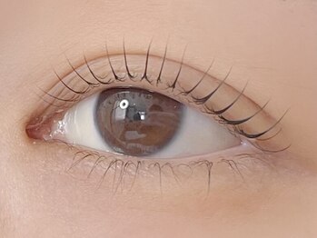 パンチャチャ(panchaw)の写真/【大人女性に◎】自まつげ派の方におすすめ！すっぴんでもかわいい目元に☆