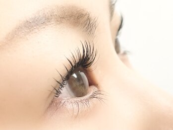 パティオアイラッシュ(Patio eyelash)/パリエク