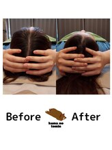 クマの冬眠 高知店/質の高い睡眠へ