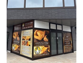 ハワイアンフォレストスパ 高崎井野店(ハワイアンフォレストSpa)/お店のご紹介を致します♪