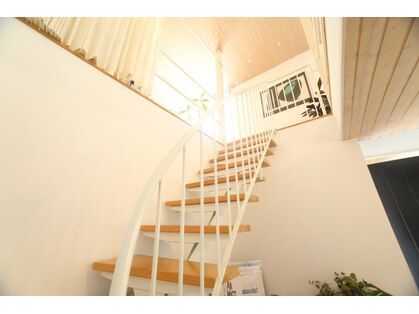 ユアン(yuan)の写真