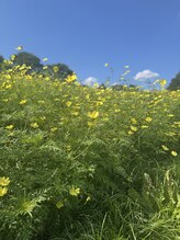 ホカネイルズ(HoKAnails) HoKA nails