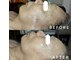 カウニス るる(kaunis)の写真