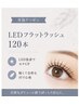 LEDフラットラッシュ120本☆高持続　7180円