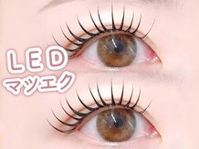ベッキーラッシュトウキョウ 銀座店(BECKY LASH TOKYO)