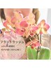 【ふわふわ軽い付け心地】マツエク◇フラットラッシュ120本（初回オフ無料）
