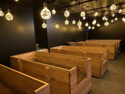 椿 天王寺店(TSUBAKI)の写真