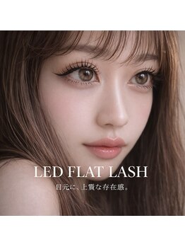 サニーラッシュ 名駅店(Sunny Lash)の写真/とにかく持続力にこだわるお店【LEDフラットラッシュ】自まつげにフィットする形状でキレイが永く続く♪